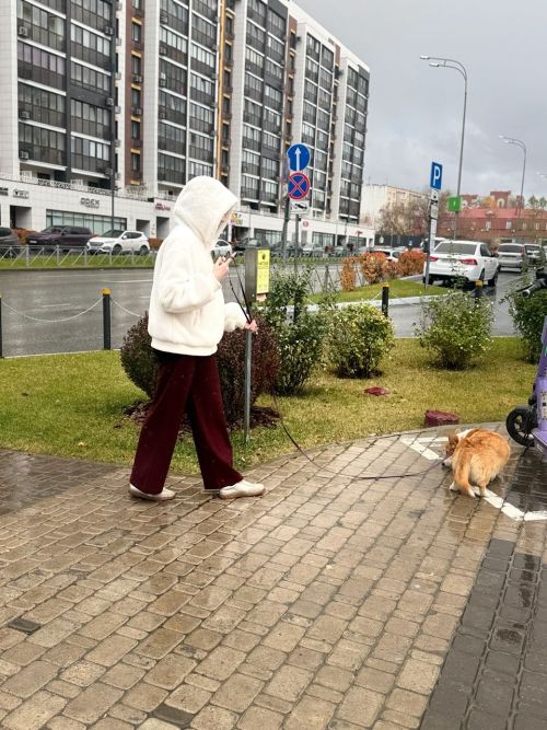 В Татарстане до конца недели сохранится пасмурная погода