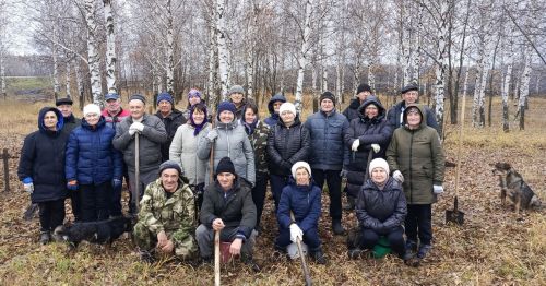 Жители села Бахта провели озеленительную акцию, высадив десятки сосен