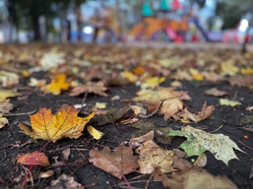 Дожди и туманы ожидаются в Татарстане