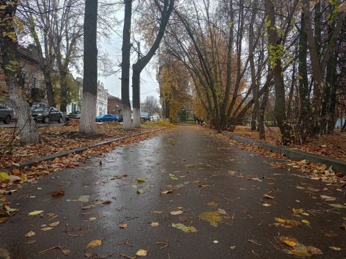 Ноябрь в Татарстане окажется на градус теплее нормы