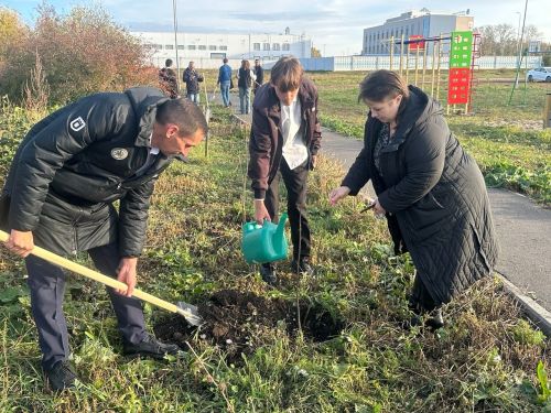 В Чистополе в рамках акции «Сохраним лес» высажены десятки саженцев сосны и рябины