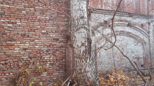 Сергей Кронберг рассказал, как читать городскую историю по фасадам и потолкам