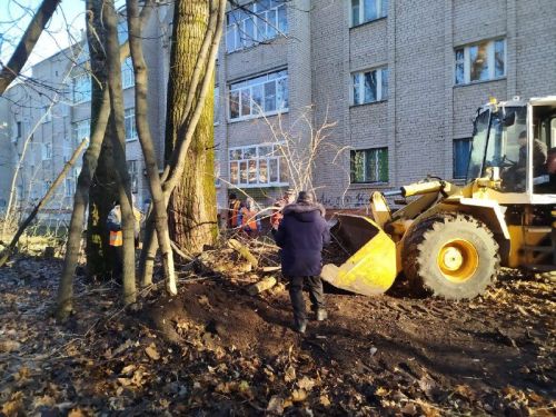 Специалист рассказал об особенностях работы по озеленению