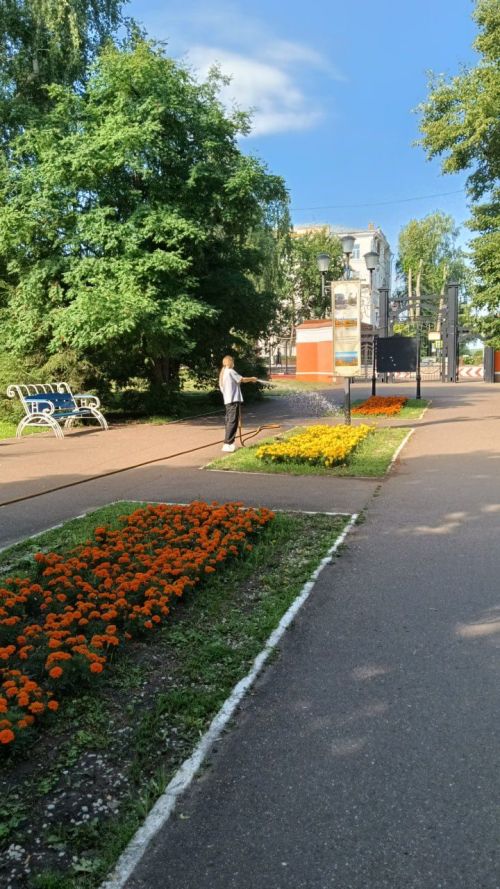 Специалист рассказал об особенностях работы по озеленению