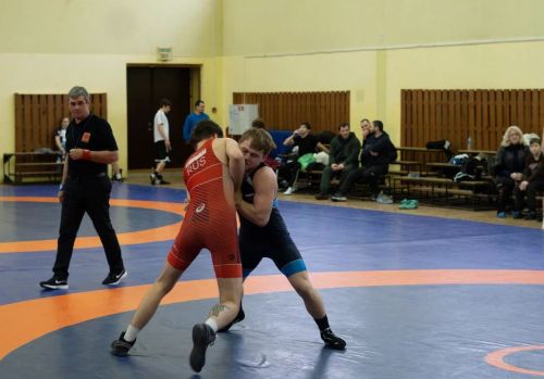 В Чистополе состоялся чемпионат Татарстана по греко-римской борьбе