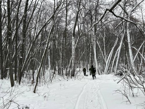 Воспитанники ВПК «Рубеж» провели учебный поход в зимний лес для сплочения коллектива