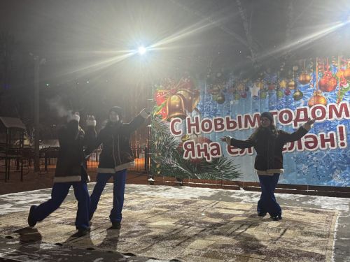 В микрорайоне «Мельничная площадь» зажгли главную новогоднюю ёлку