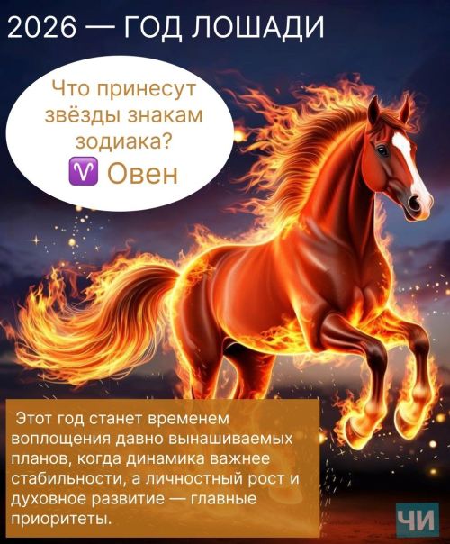 2026: Что принесут звёзды знакам зодиака?