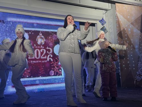 В Чистополе прошло открытие главной елки