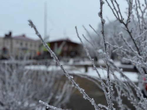Какая погода ожидает чистопольцев сегодня
