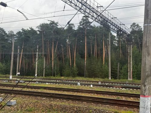В Татарстане грузовой поезд насмерть сбил 49-летнего мужчину