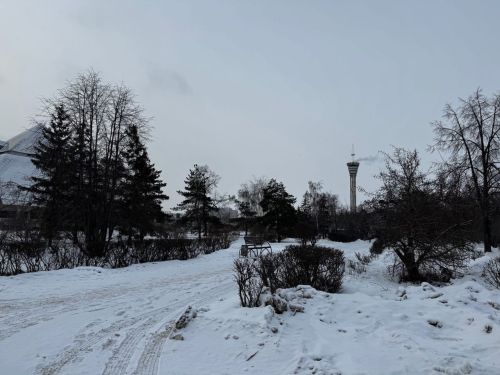 Облачность и небольшой снег ожидаются в Чистополе