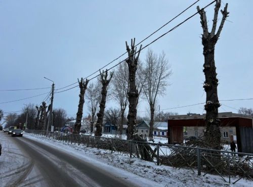 Чистополь готовится к весне: начались профилактические работы