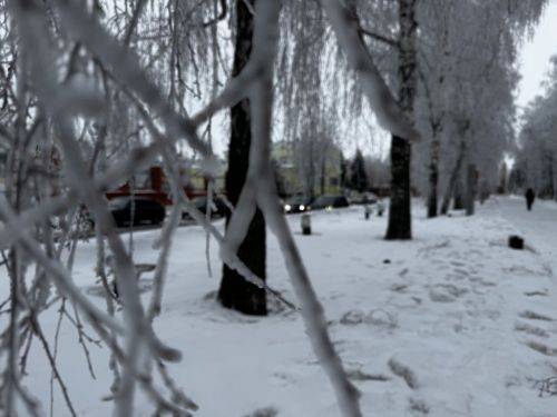 Облачная погода и осадки ожидаются в Чистополе