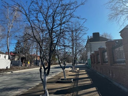 Теплая погода ожидает чистопольцев