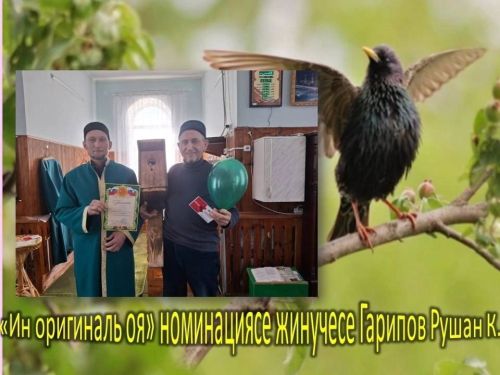 В одном из сел Чистопольского района наградили лучших мастеров скворечников