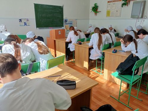 «Телефон доверия»: в Чистопольском медицинском училище провели занятие-практикум