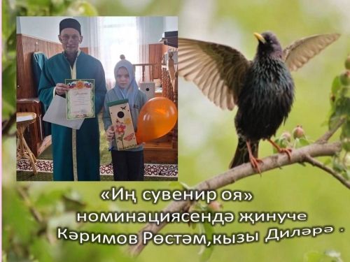 В одном из сел Чистопольского района наградили лучших мастеров скворечников