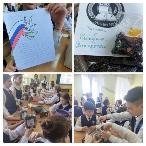 Чистопольские лицеисты создали целебный чай для бойцов СВО
