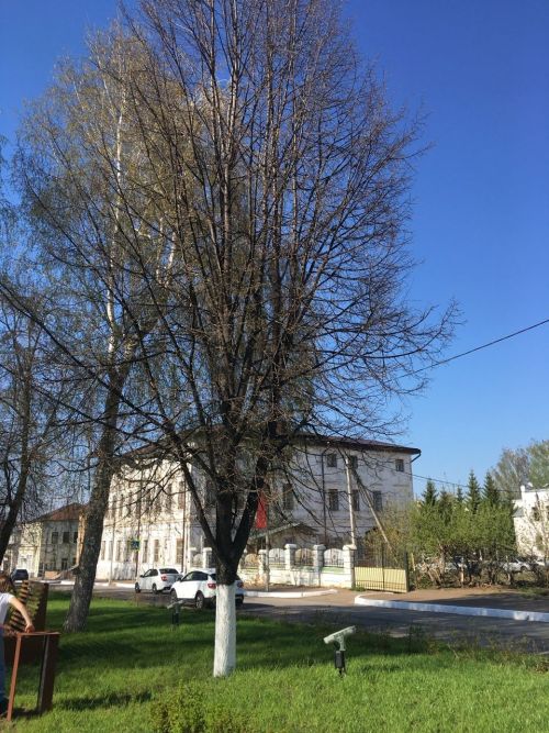 В РТ апрель будет теплее нормы на 1 градус
