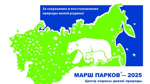 Рисуй, сажай, очищай: юных чистопольцев приглашают к участию в «Марше парков – 2025»