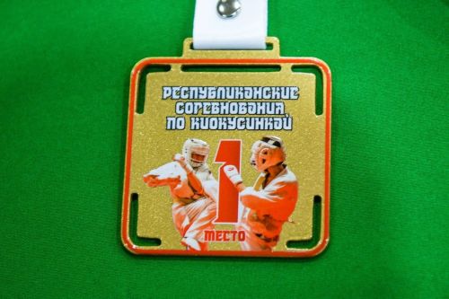 Чистопольские спортсмены завоевали 10 медалей на соревнованиях по киокусинкай