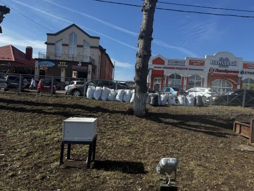 Общегородской субботник в Чистополе: вместе делаем город чище!