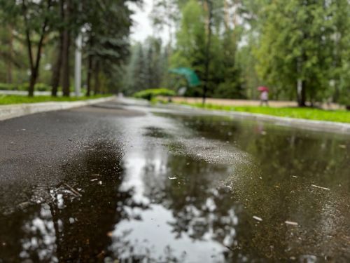 В РТ новая неделя начнется с дождя