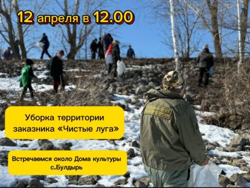Вместе наведём порядок: чистопольцев приглашают на субботник в заказнике «Чистые луга»