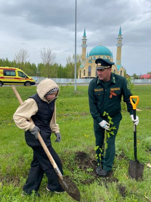 Деревья добра: экологическая акция у мечети «Фатиха»