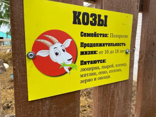 В Чистополе говорили о том, как повысить деловую активность сельского населения