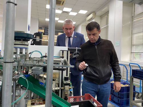 В Чистополе говорили о том, как повысить деловую активность сельского населения