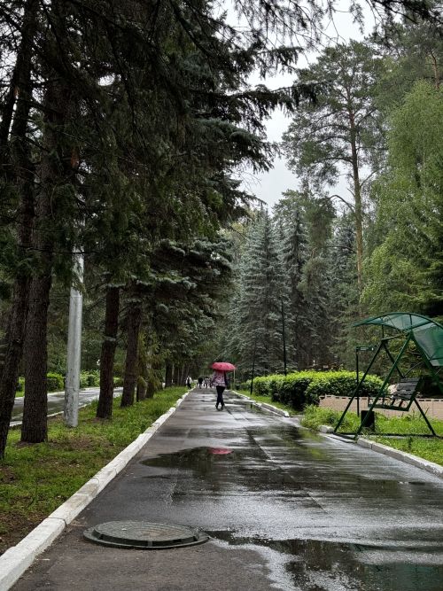 Татарстанцев в выходные ожидает дождливая погода