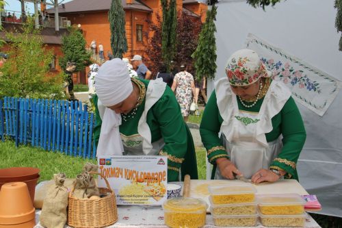В Чистополе прошел Сабантуй — 2025