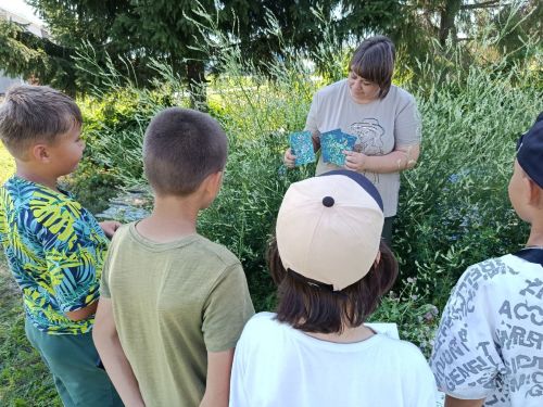 Юные исследователи Чистопольского района изучают лекарственные растения