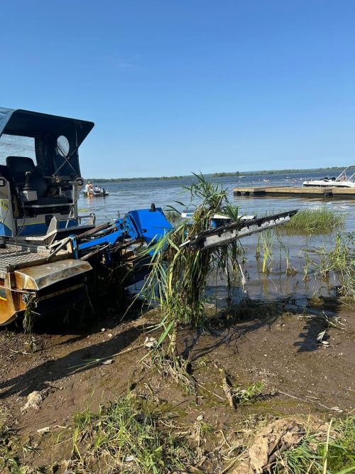 Чистопольский пляж избавляется от «водяной чумы»