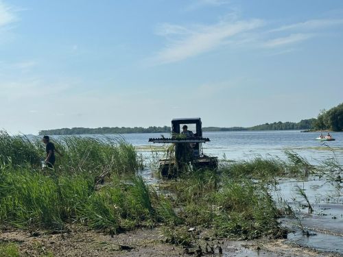 Чистопольский пляж избавляется от «водяной чумы»