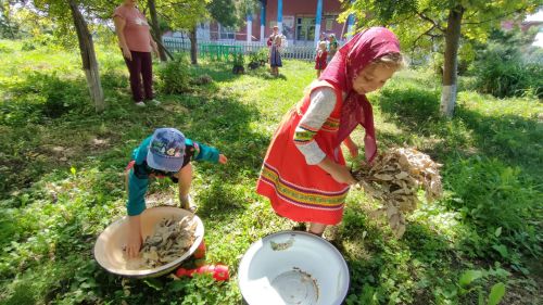 Дубовые, березовые, крапивные и цветочные: в Чистопольском районе провели мастер-класс по вязанию банных веников