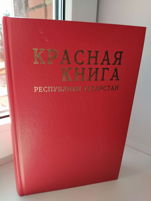 Какие редкие птицы и растения встречаются в Чистопольском районе