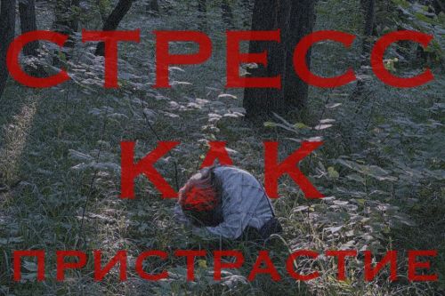«Я живу в стрессе» — признак скрытой зависимости, а не продуктивности