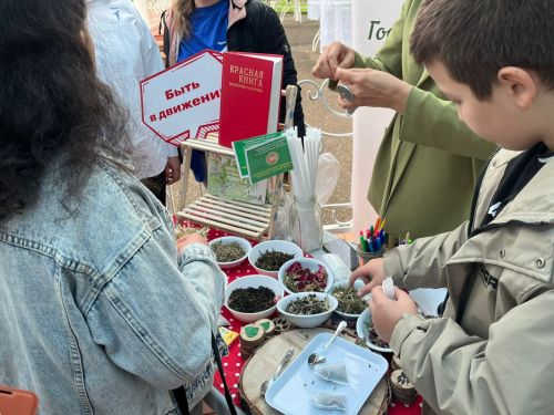 В Чистополе ярко отметили двойной праздник в Скарятинском саду