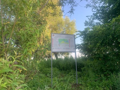 В Чистопольском районе проверили леса на наличие диких кабанов