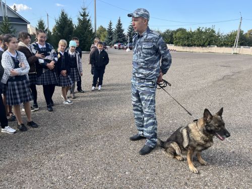 Экскурсия в мир правопорядка: чистопольские школьники знакомились с работой полиции