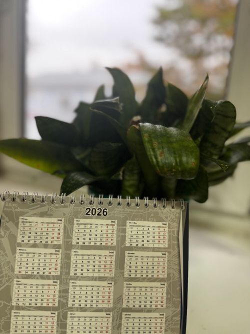 Новогодние каникулы в 2026 году продлятся 12 дней