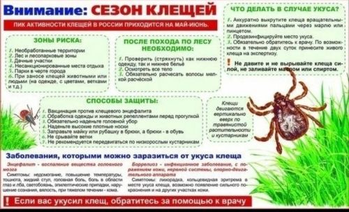 За неделю в Чистопольском районе зарегистрировано 32 случая присасывания клещей