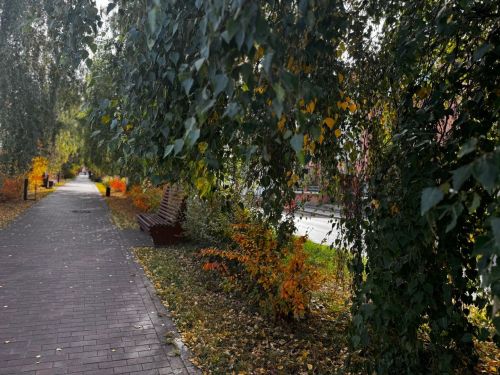 Сколько простоит аномальная осень в Татарстане