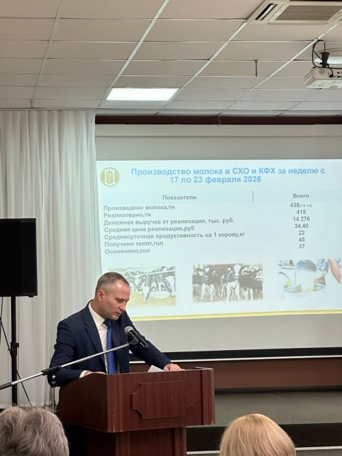 Дмитрий Иванов: «Очистка крыш от наледи — вопрос жизни и здоровья людей»
