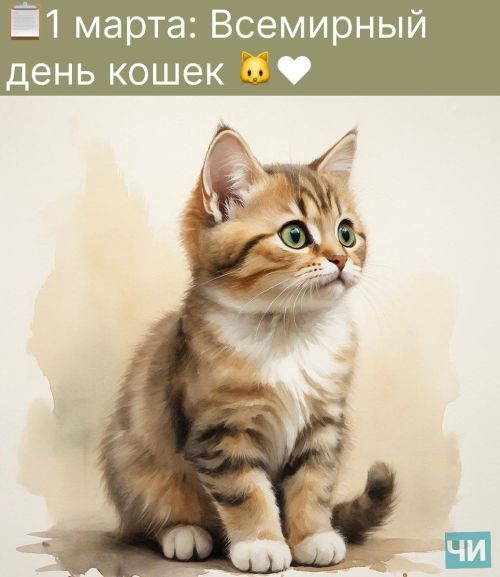 1 марта: Всемирный день кошек