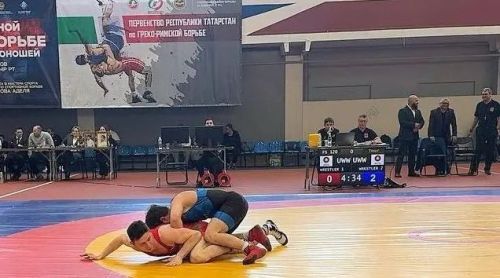Чистопольские борцы завоевали четыре медали на первенстве Татарстана