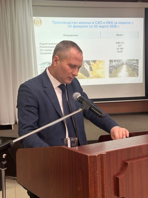Кадры для медицины, структура посевов и снег: о чем говорили на совещании в чистопольском муниципалитете
